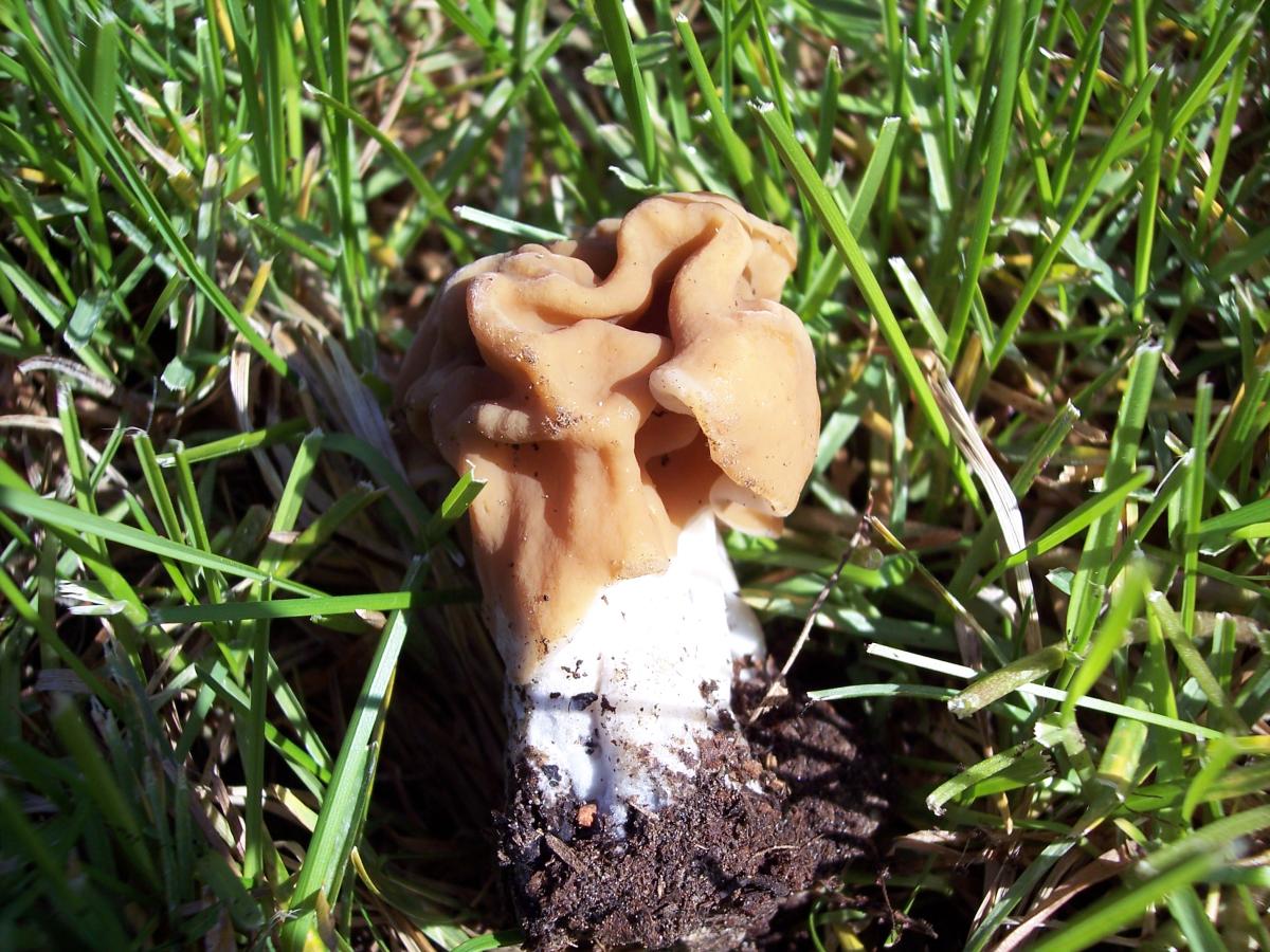 A 1000 metri dopo l''acqua